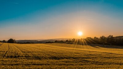 Arealanvendelse i Danmark &ndash; Brug af Land og Natur set fra luften